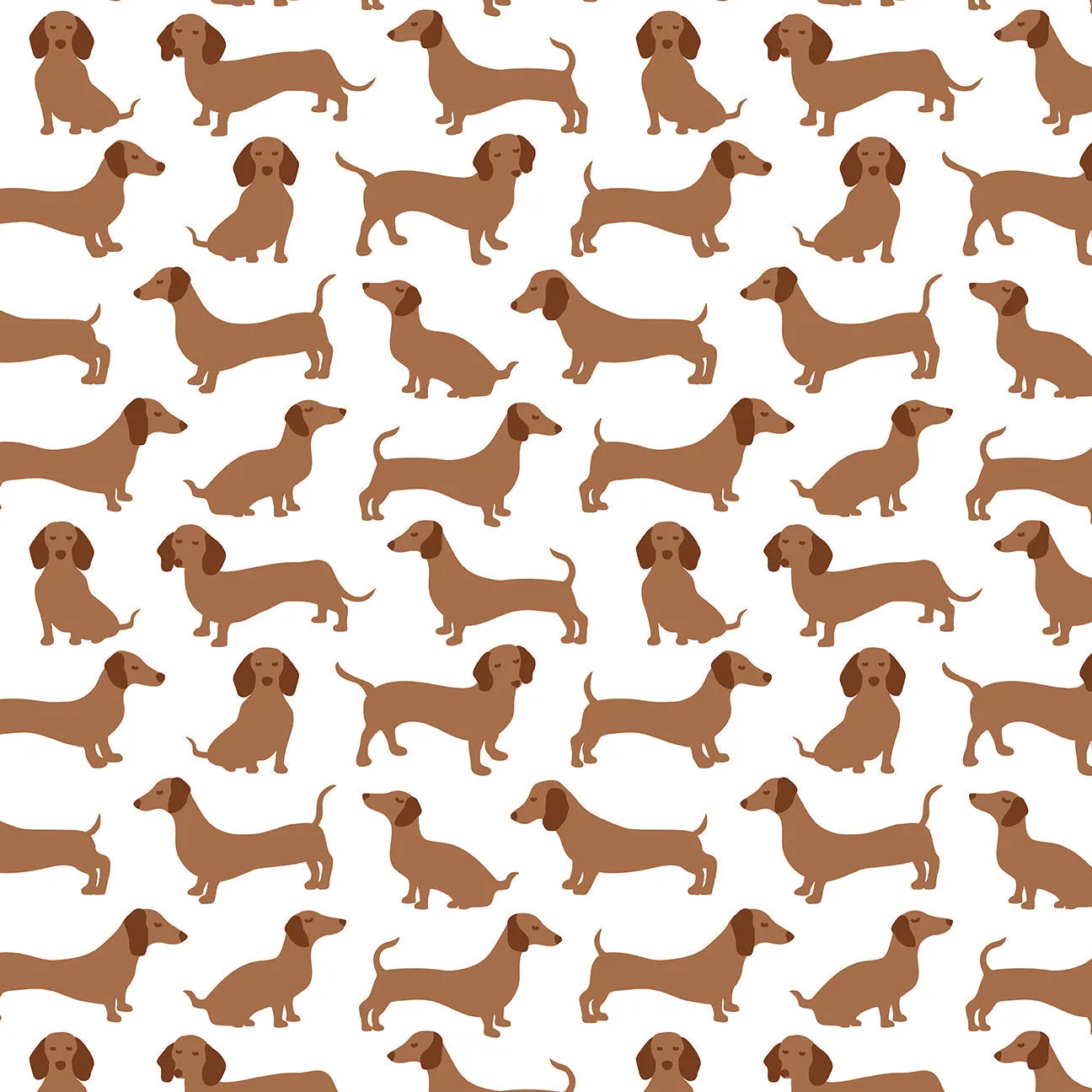 Bike Shorts - Dachshunds Brown